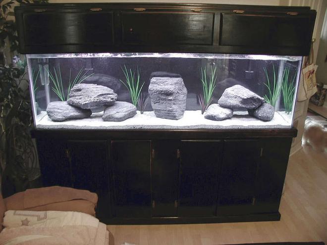 125 gallons freshwater fish tank (mostly fish and non-living decorations) - This is my new 125gl cichlid tank. It does not have any fish at this time. I used featherock, eco-complete african cichlid sand, and fake plants because cichlids love to dig. The featherock had to be cooked in the oven and dropped in a bucket of water to make them sink but the light weight of the rocks saved me alot of money at .50 cents a pound.