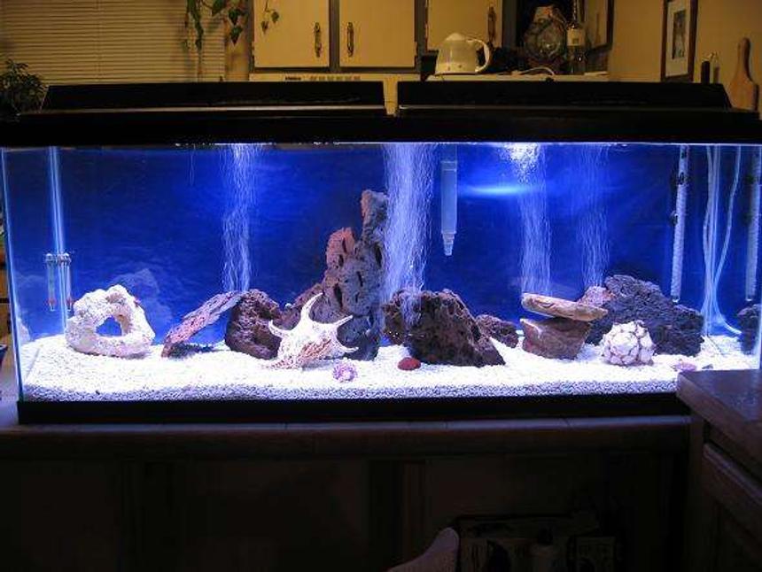Rated #41: 30 Gallons Saltwater Fish Tank - 50 gal salt after first 5 weeks, no fish yet