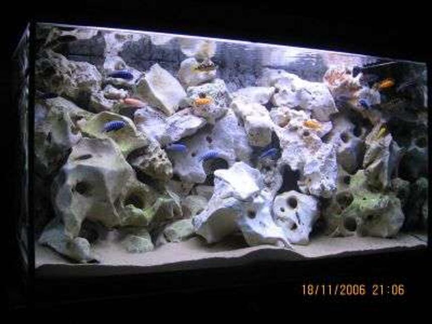 Rated #14: 100 Gallons Freshwater Fish Tank - 400 ltr mbuna malawi
