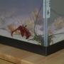 corals inverts - dardanus lagopodes - hairy red hermit crab stocking in 29 gallons tank - lobster and crab