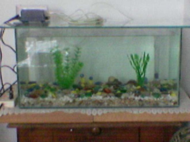 16 gallons freshwater fish tank (mostly fish and non-living decorations) - The tank with two small air pumps one for undregravel and one for normal filters.