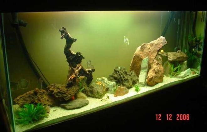150 gallons freshwater fish tank (mostly fish and non-living decorations) - freshwater tank!!!