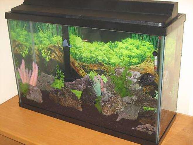 45 gallons freshwater fish tank (mostly fish and non-living decorations) - 45 gallon tall tank, Dimensions are 36x24x12,  40lbs of Lava Rock, (3 caves) 50lbs black gravel, assorted plastic plants, powered by a Marineland Emperor 280.