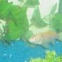 freshwater fish - carassius auratus - goldfish stocking in 90 gallons tank - This is Flint, the consistantly angry looking common. He's a doll, not a demon, I promise!