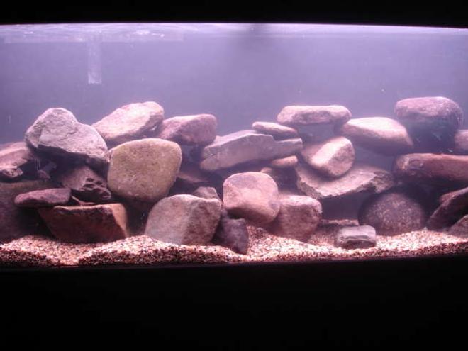 50 gallons freshwater fish tank (mostly fish and non-living decorations) - Malawi tank 1 hour old with no fish yet :(