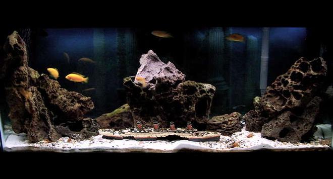 55 gallons freshwater fish tank (mostly fish and non-living decorations) - 55 GALLON FRESHWATER TANK
RECREATION OF SUNKEN TITANIC 
WITH OCEAN SAND AND ROCKS FROM THE BAHAMAS
FILTERED WITH A AQUACLEAR 70 
AIR BY OPTIMA
4 PENGUIN POWERHEADS FOR CIRCULATION. LIGHTING BY AQUA-GLO & LUNAR BLUE AQUALIGHT
TANK HAS COLUMBIAN SHARKS, YELLOW CHICLIDS, FIDDLER CRABS, REDTAIL CATFISH, RAINBOW SHARK, 8 FRESHWATER CLAMS, ETC..