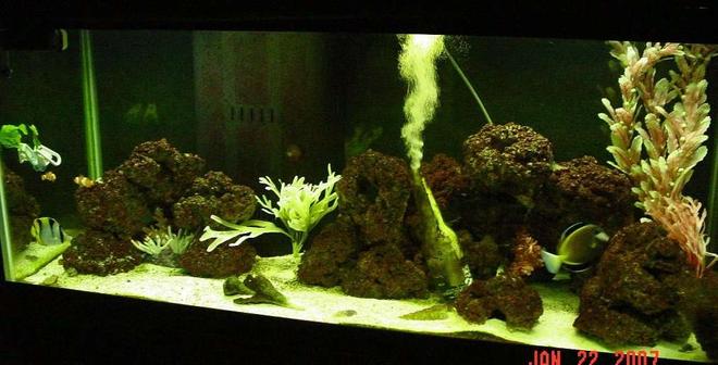 75 gallons saltwater fish tank (mostly fish, little/no live coral) - My first saltwater tank.