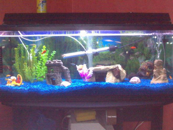 22 gallons freshwater fish tank (mostly fish and non-living decorations) - here's my tank will update the pic when its finished.