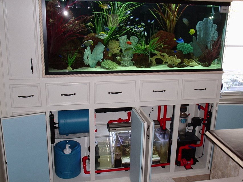 Rated #22: Fish Tank Picture - Almost complete