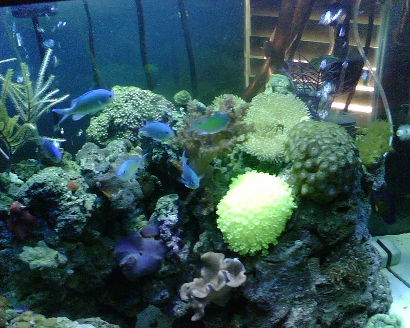 Rated #25: Fish Tank Picture - 05