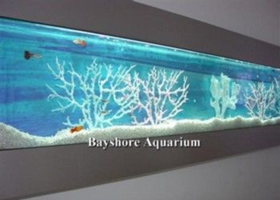 Rated #55: Fish Tank Picture - =]