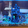 fish tank picture - Castle1