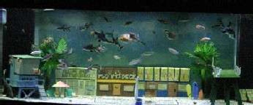 Rated #342: 175 Gallons Freshwater Fish Tank - I made each ornament by hand. They are all custom ceramic pieces.  Email me if you want me to create one for your tank.