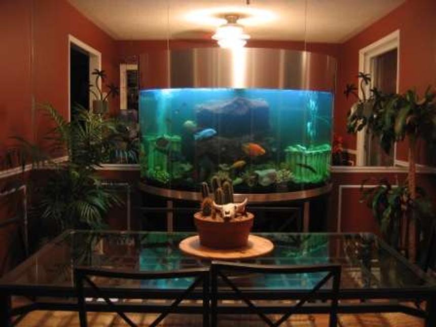 Rated #30: 144 Gallons Freshwater Fish Tank - 144 Gallon Semi Circle