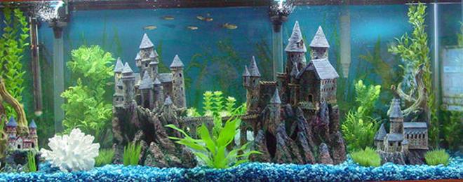 55 gallons freshwater fish tank (mostly fish and non-living decorations) - Medievel Times