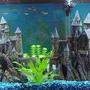 55 gallons freshwater fish tank (mostly fish and non-living decorations) - Medievel Times