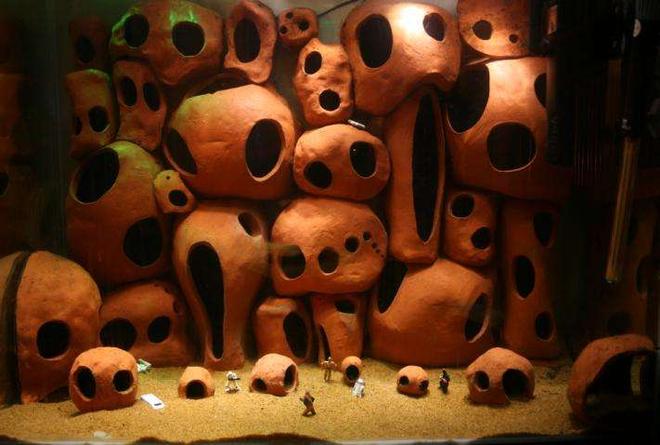 45 gallons freshwater fish tank (mostly fish and non-living decorations) - This tank has been filled using hand crafted pieces of pottery which are hollow and provide ample hiding places for the occupants.

The lighting is achieved using seventeen super bright white L.E.D.'s mounted into a custom lid.

The tataouine-esque feel to the tank has led to the introduction of several star wars characters.  An interesting concept, the fish seem to love chewbacca!