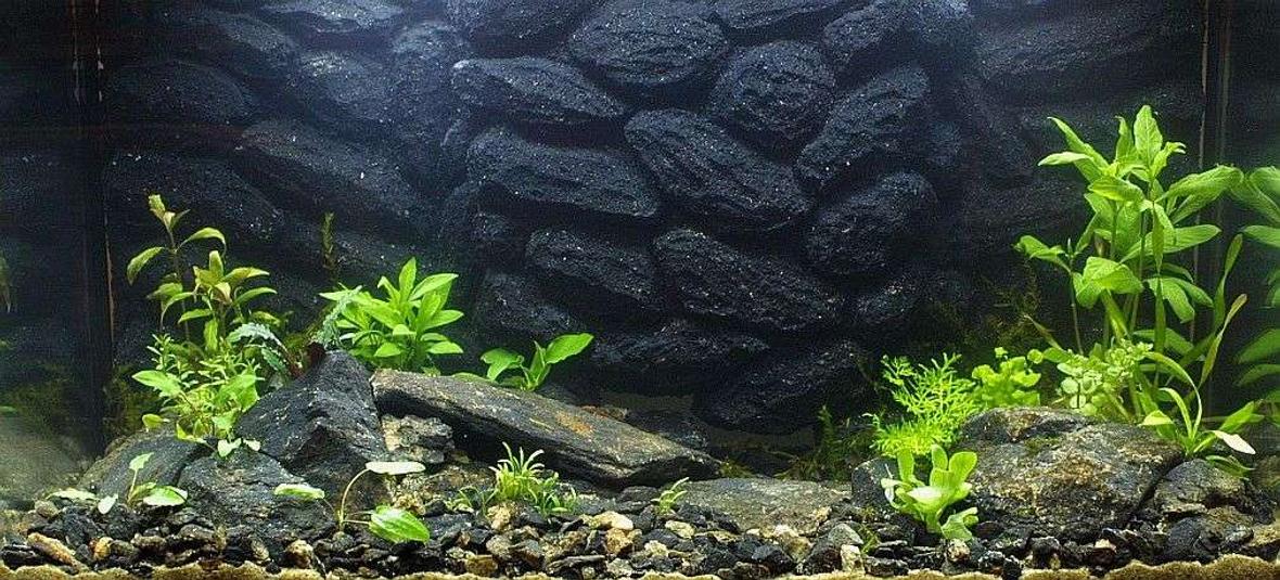 25 gallons planted tank (mostly live plants and fish) - 17.4.2007