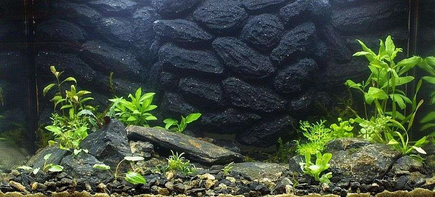 Rated #181: 25 Gallons Planted Tank - 17.4.2007