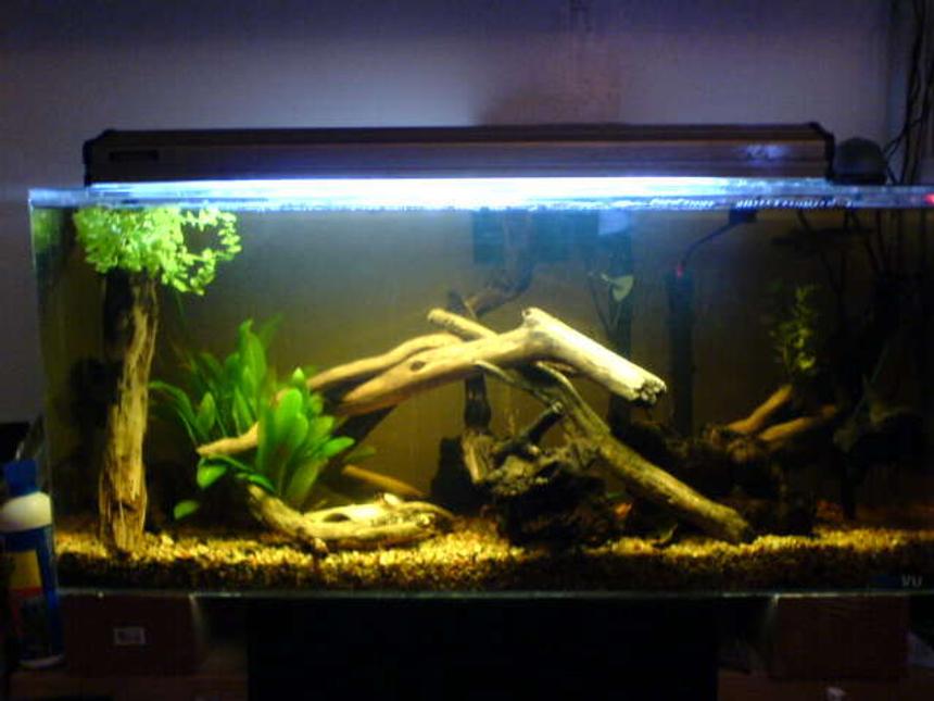 Rated #232: 26 Gallons Freshwater Fish Tank