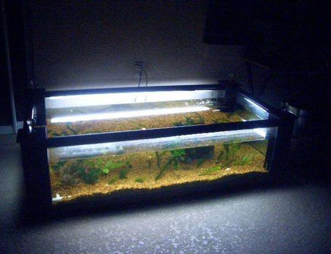 120 gallons planted tank (mostly live plants and fish) - in this picture u see my fishtanke without its tabletop on.