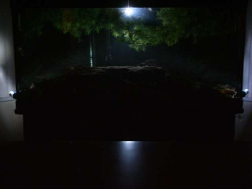 Rated #592: 72 Gallons Freshwater Fish Tank - Moon light