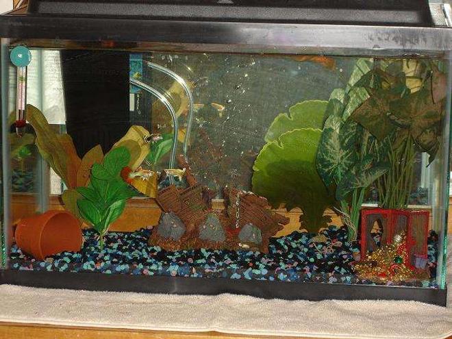 10 gallons freshwater fish tank (mostly fish and non-living decorations) - pirates theme.  keeping fancy guppies.