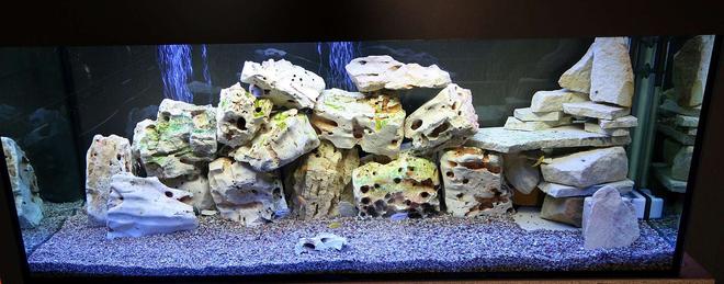 120 gallons freshwater fish tank (mostly fish and non-living decorations) - Front view
