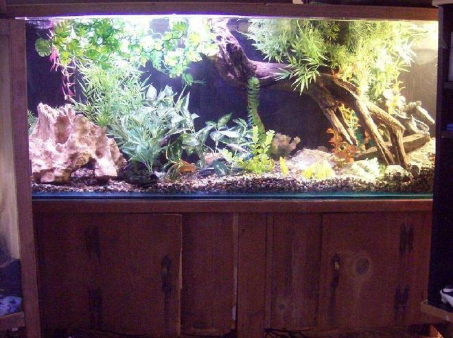 90 gallons freshwater fish tank (mostly fish and non-living decorations) - this is my tank it house the following
1 cory
2 peecock eels 
2 chinese algea eaters
1 clownknife
the tank has 2 bio filters
and a 36 inch light strip
one small pump to create a small current
