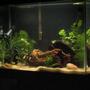 fish tank picture - From a different angle