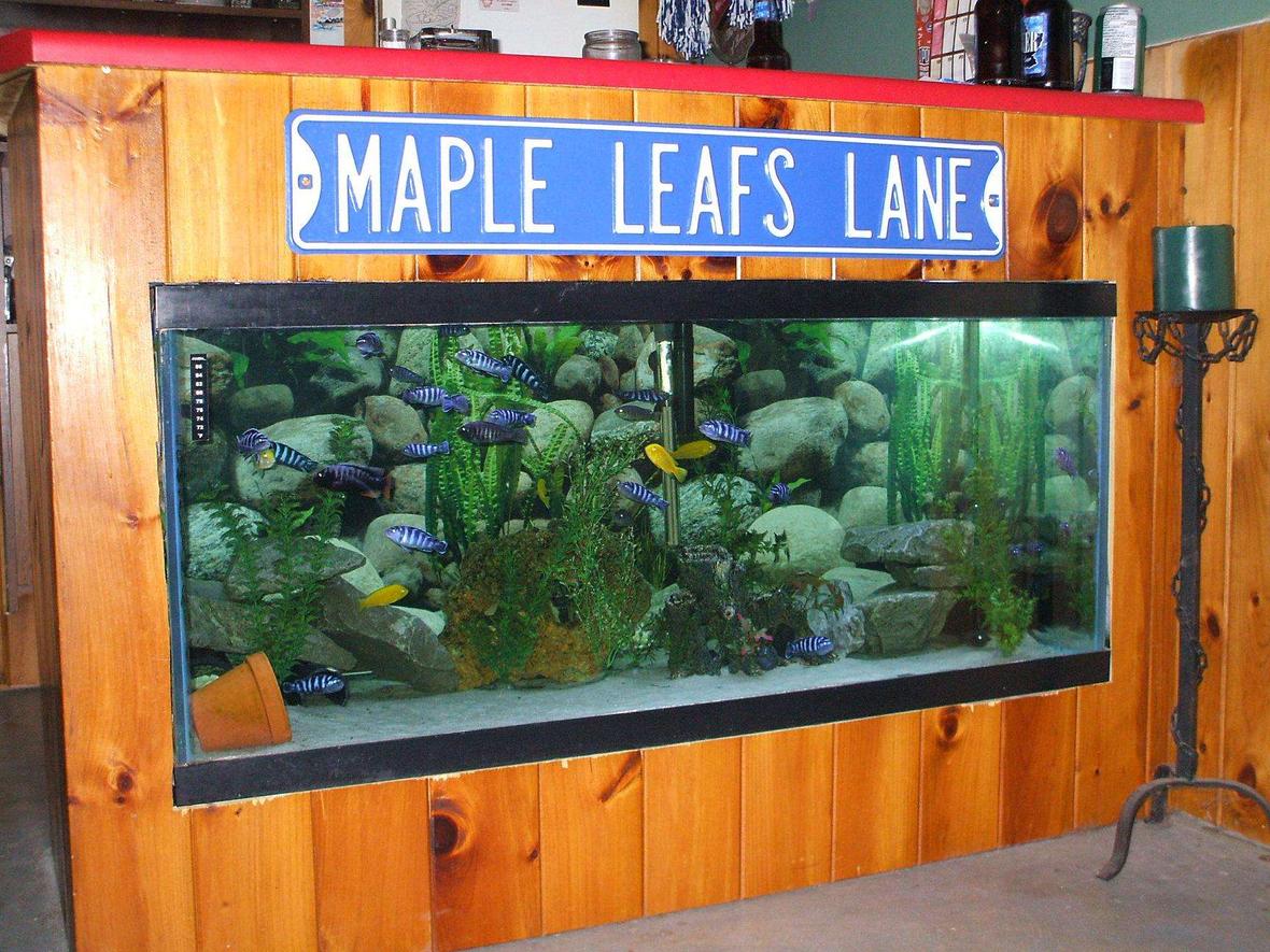 100 gallons freshwater fish tank (mostly fish and non-living decorations) - This is my bar tank.Just have to finish the trim and its done.