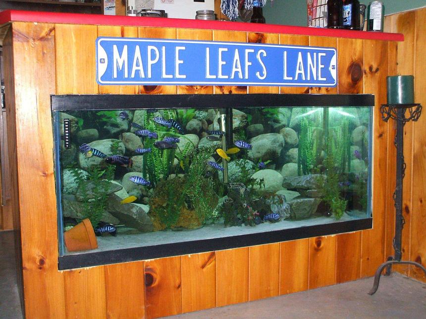 Rated #22: 100 Gallons Freshwater Fish Tank - This is my bar tank.Just have to finish the trim and its done.