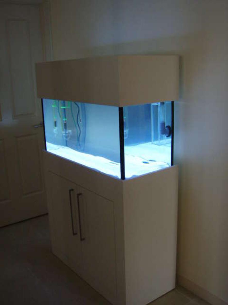 40 gallons saltwater fish tank (mostly fish, little/no live coral) - this is my 40g fish only tank still only 1 week old