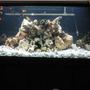 32767 gallons freshwater fish tank (mostly fish and non-living decorations) - 180Gallon Malawi reef tank.